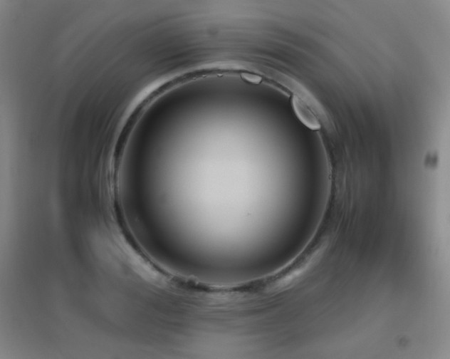 X0000096730988200802051436