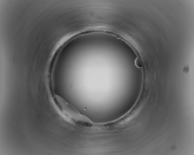 X0000096730989200802051436