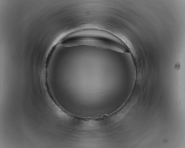 X0000096730992200802051436