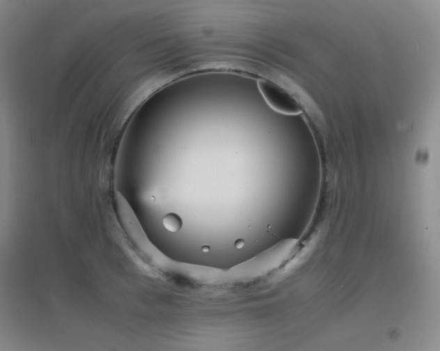 X0000096730993200802051436