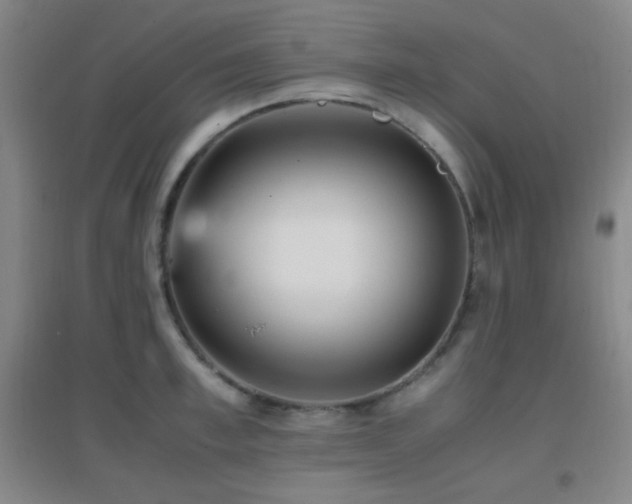 X0000096730997200802051436