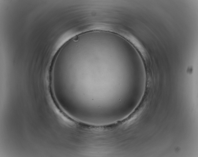 X0000096730999200802051436