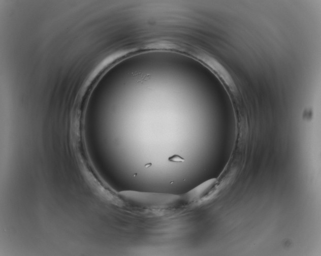 X0000096731000200802051436