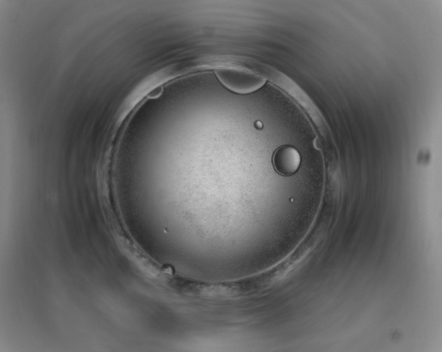 X0000096731002200802051436