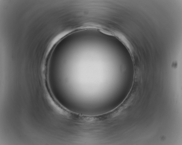 X0000096731003200802051436