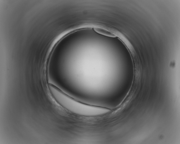 X0000096731004200802051436