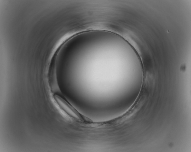 X0000096731005200802051436