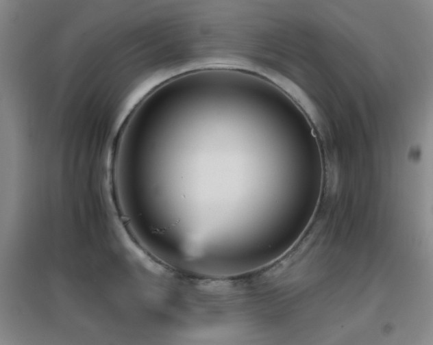 X0000096731006200802051436