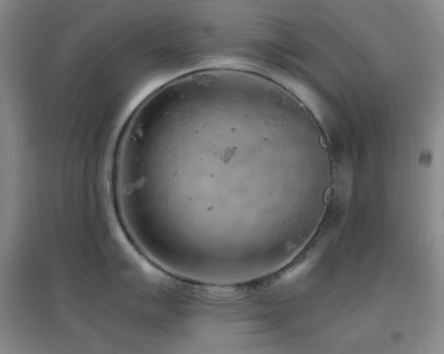 X0000096731007200802051436