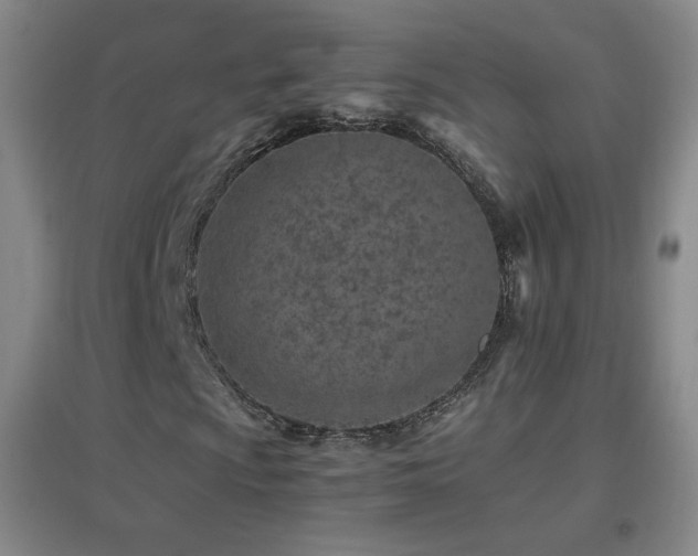 X0000096731009200802051434