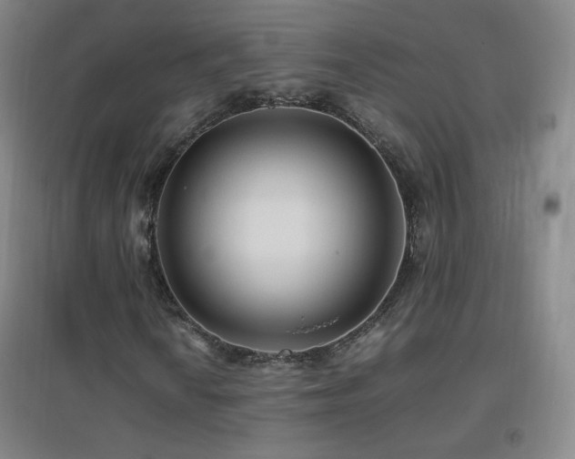 X0000096731010200802051435