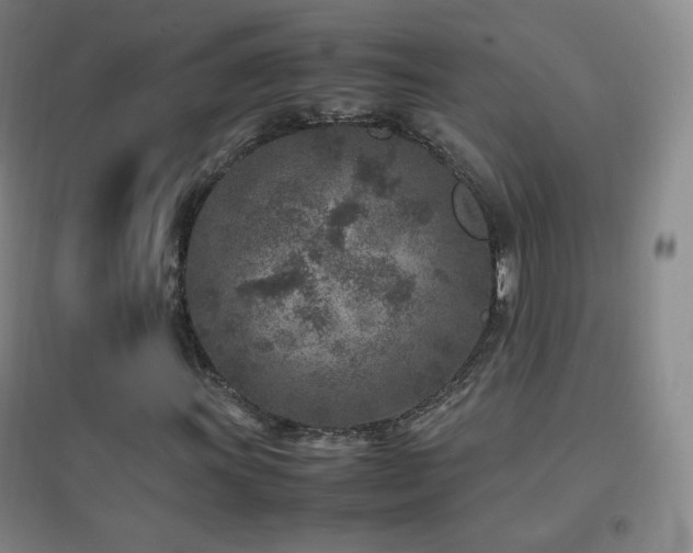 X0000096731011200802051435