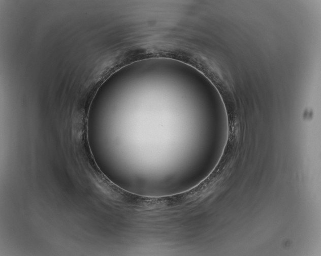 X0000096731012200802051435