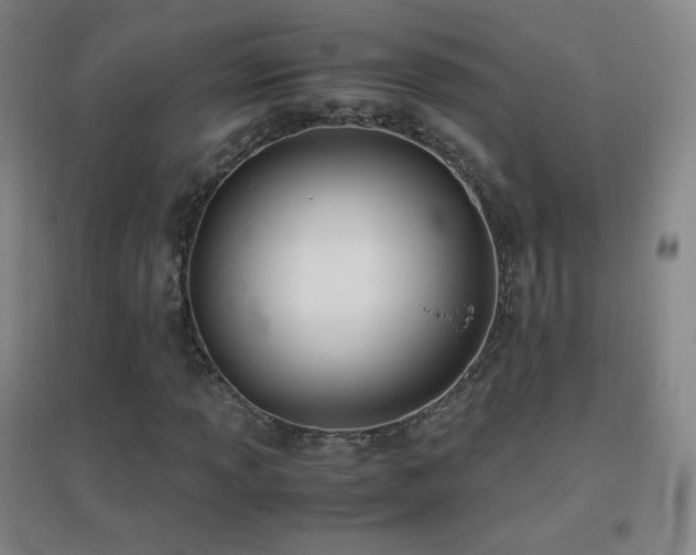 X0000096731013200802051435