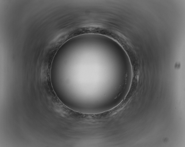 X0000096731014200802051435