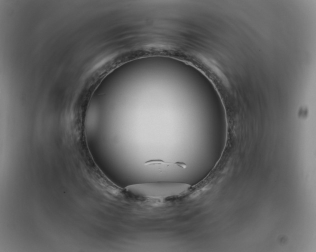 X0000096731015200802051435