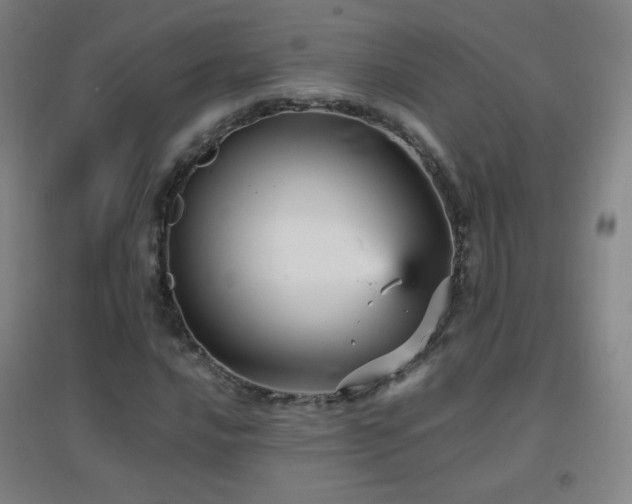 X0000096731016200802051435