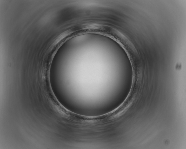 X0000096731017200802051435