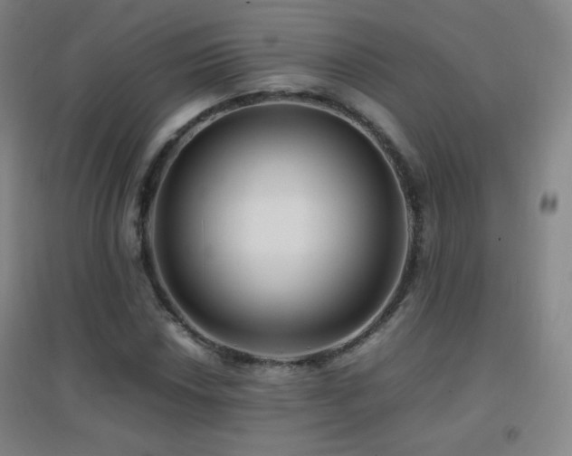 X0000096731018200802051435