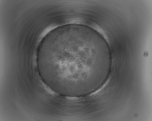 X0000096731019200802051435