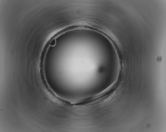 X0000096731020200802051435