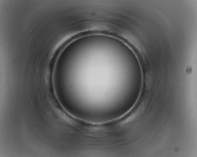 X0000096731021200802051435