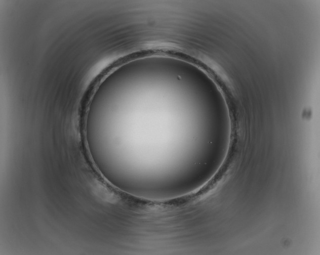 X0000096731022200802051435