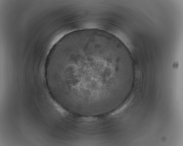 X0000096731023200802051435