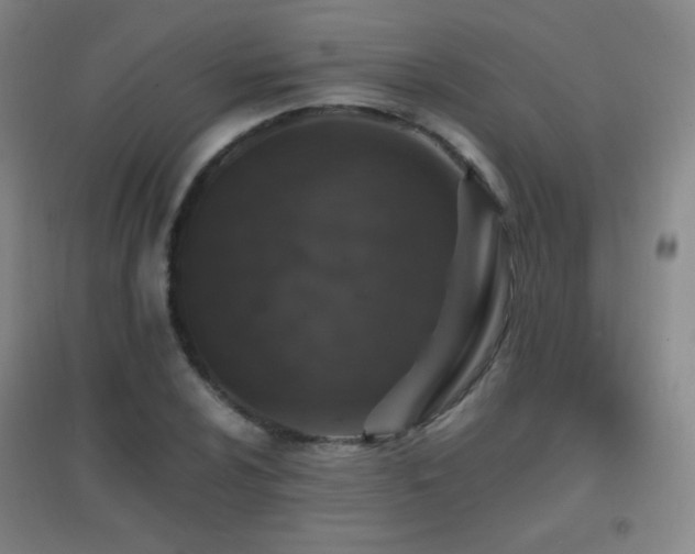 X0000096731024200802051435