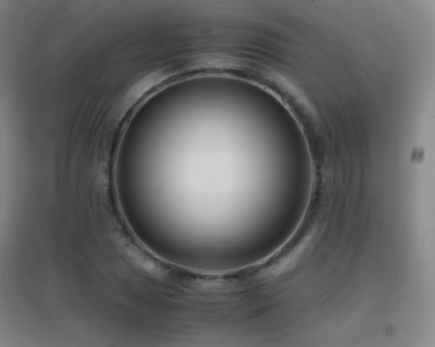 X0000096731025200802051435