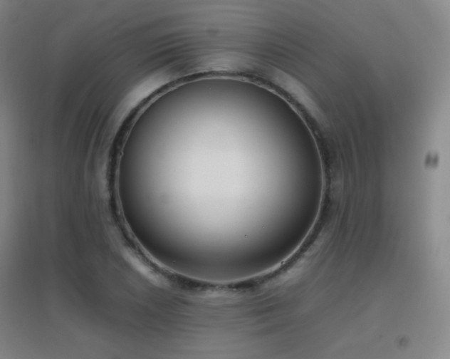 X0000096731026200802051435