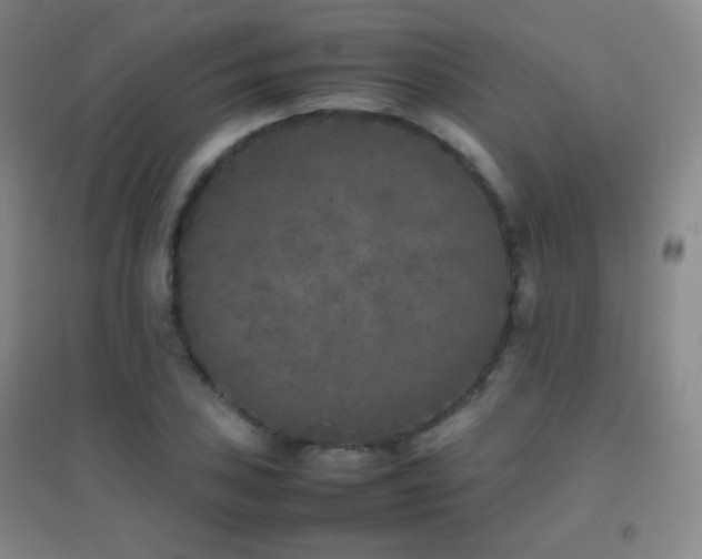 X0000096731027200802051435