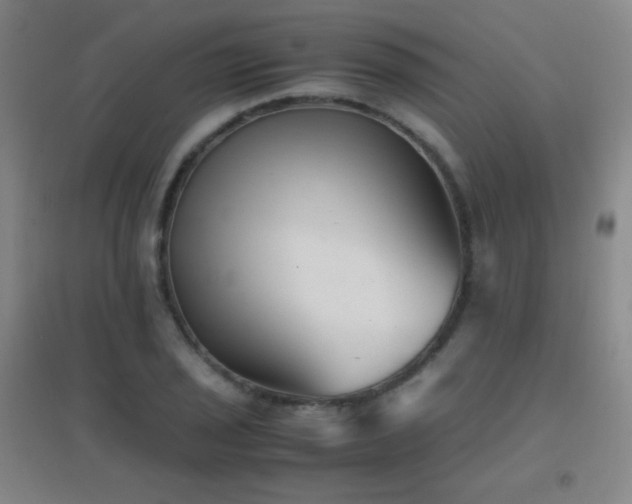 X0000096731029200802051435