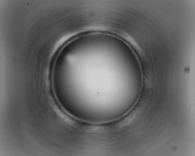 X0000096731030200802051435