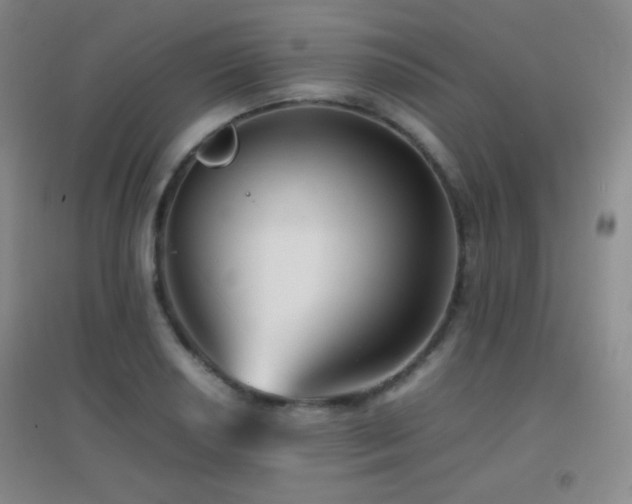 X0000096731034200802051435