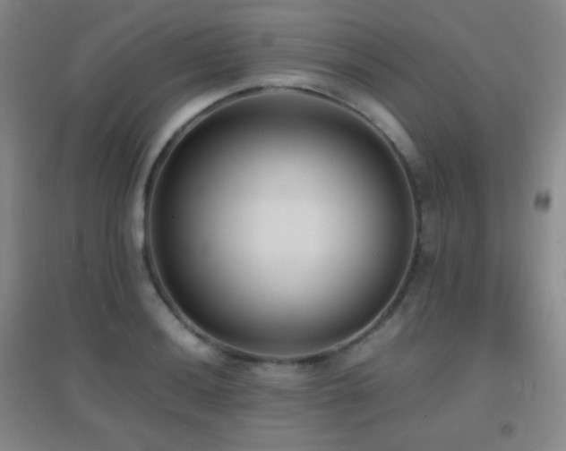 X0000096731036200802051435