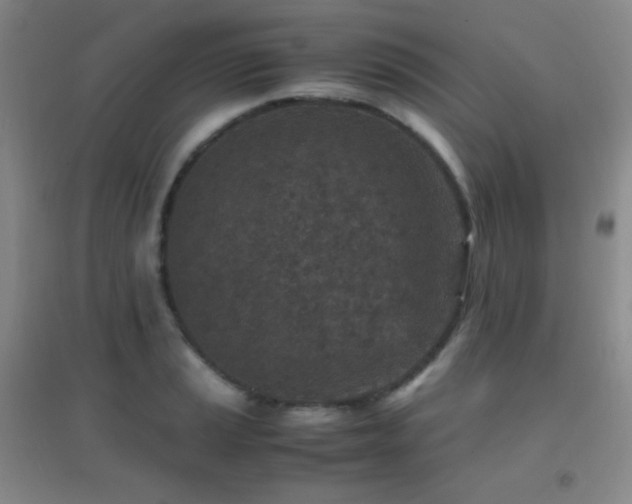 X0000096731037200802051435