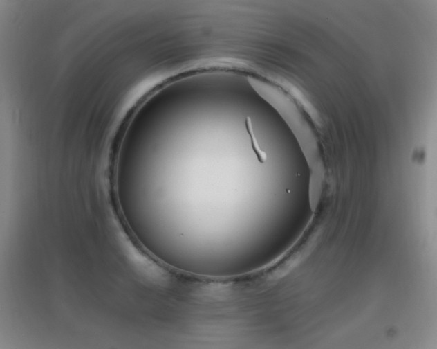 X0000096731038200802051435