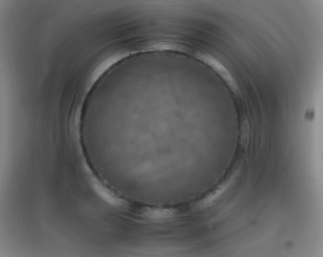 X0000096731039200802051435