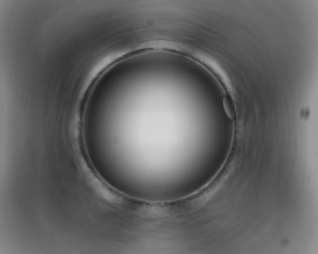 X0000096731040200802051435