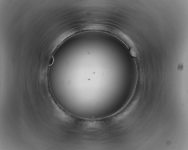 X0000096731041200802051435