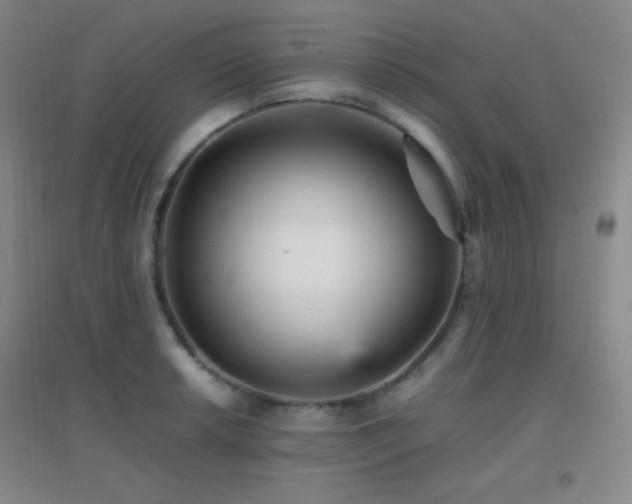 X0000096731042200802051435