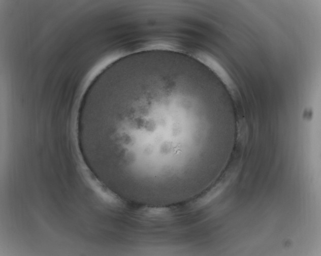 X0000096731043200802051435