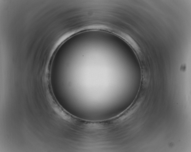X0000096731044200802051435