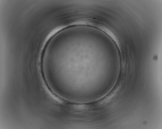 X0000096731045200802051435