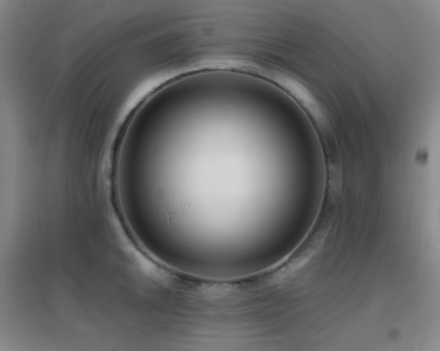 X0000096731046200802051435