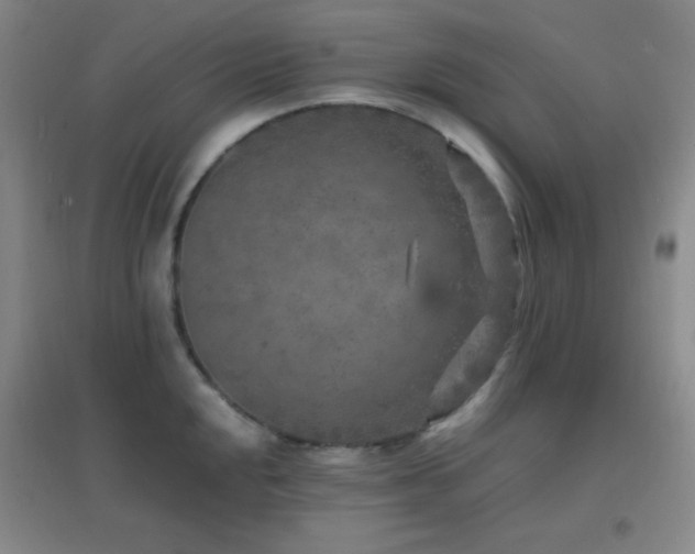 X0000096731048200802051435