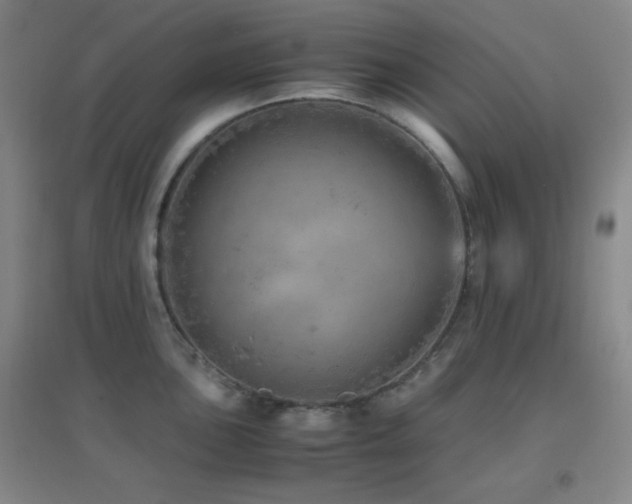 X0000096731051200802051435
