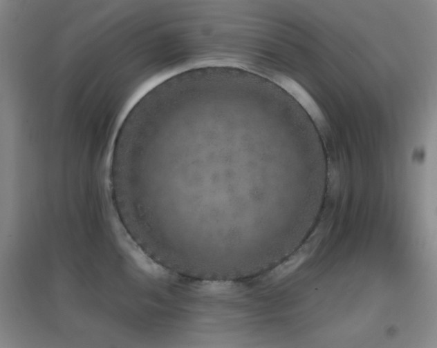 X0000096731052200802051435