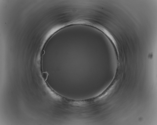 X0000096731053200802051435